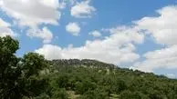 ثروت سبز ایران در دست چند استان / شکاف ۴۶۲ برابری جنگل در ایران؛ فارس غرق در سبزی، همدان در قعر جدول + آمار پوشش جنگلی