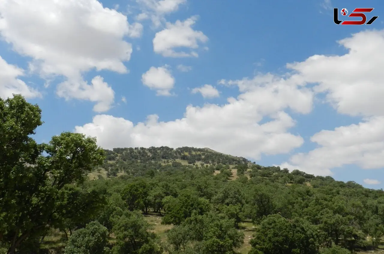 ثروت سبز ایران در دست چند استان / شکاف ۴۶۲ برابری جنگل در ایران؛ فارس غرق در سبزی، همدان در قعر جدول + آمار پوشش جنگلی