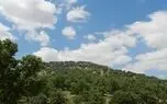 ثروت سبز ایران در دست چند استان / شکاف ۴۶۲ برابری جنگل در ایران؛ فارس غرق در سبزی، همدان در قعر جدول + آمار پوشش جنگلی