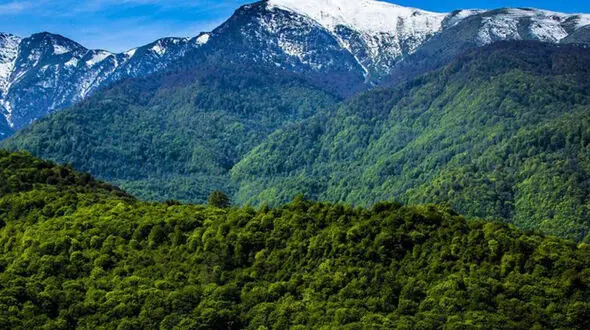 فیلم مرال ، زیبای رعنای جنگلهای هیرکانی شمال ایران
