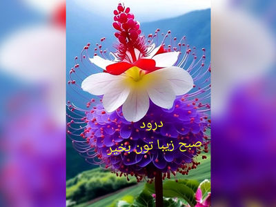 فال و طالع بینی روزانه 14 دی + فیلم 