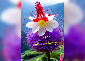 فال و طالع بینی روزانه 14 دی + فیلم 