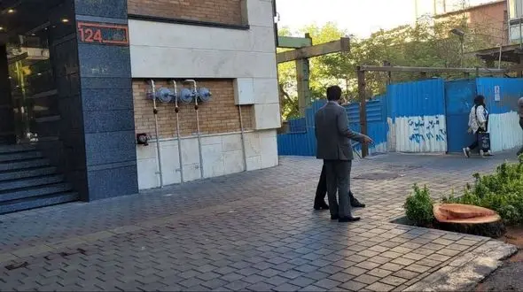 حکم قطع 13 درخت چنار خشک شده تهران صادر شد