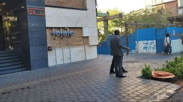 حکم قطع 13 درخت چنار خشک شده تهران صادر شد