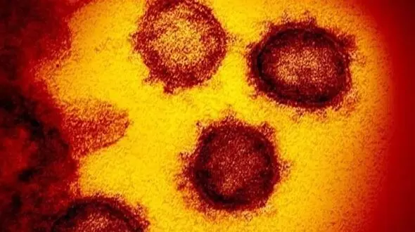 جدیدترین علائم کرونا 