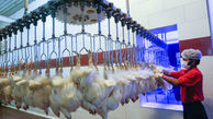 مدیریت سیستمی توزیع مرغ