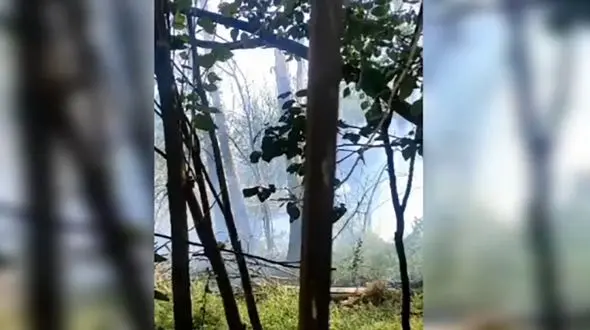 جنجالی ترین آتش سوزی در بزرگترین و قدیمی ترین باغ ادربیل / علت چه بود؟