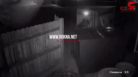 دزد خانه یک زوج موجود عجیبی بود /  فیلم ها فاش کردند