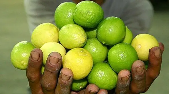 بهترین استفاده های زیبایی از لیموترش 