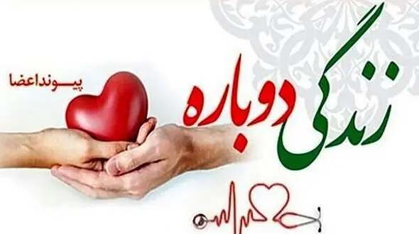 امید فرخی کیست ؟ / او سومین فداکار  ایران در سال 1400 لقب گرفت