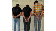 پایان جولان 3 دزد حرفه ای در بهارستان + عکس 