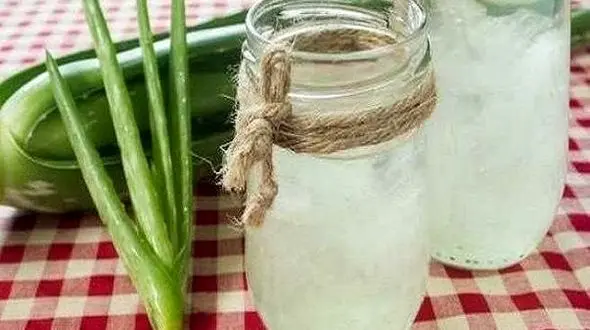 کاهش وزن فوری با آب آلوئه ورا