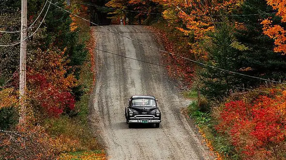 فال روزانه شخصی/ 4 مهر + فیلم