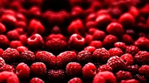 تزش مزه ای که موتور سلامت قلب را روشن می کند!