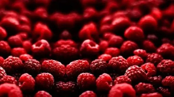 تزش مزه ای که موتور سلامت قلب را روشن می کند!