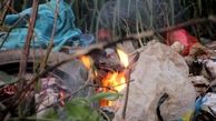 در این روزها گرم به محیط زیست رحم کنیم و  زباله نریزیم؛ آتش به پا می شود 