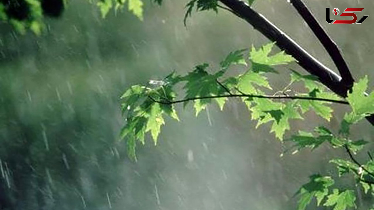 بارش های پراکنده در مازندران
