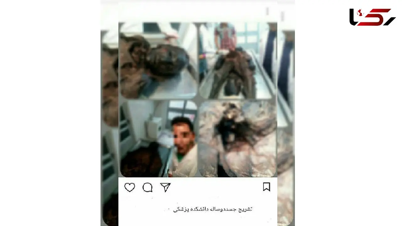 سلفی پسر دانشجو تبریزی با جسد ! + عکس