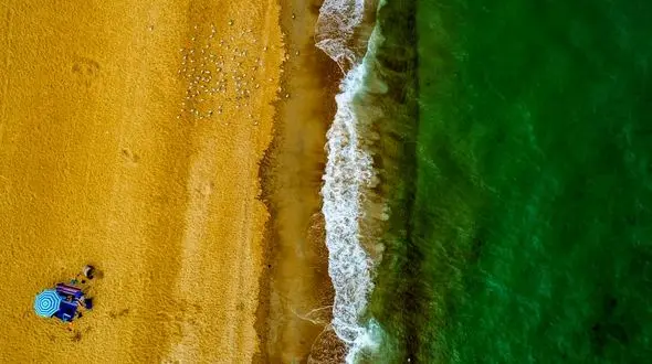 تصویری شگفت انگیز از ساحل سبز و طلایی 