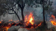 آتش سوزی ۱۰۰ هکتار از مراتع ازنا