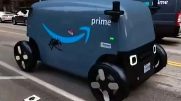 نخستین ربات پیک را ببینید + فیلم 