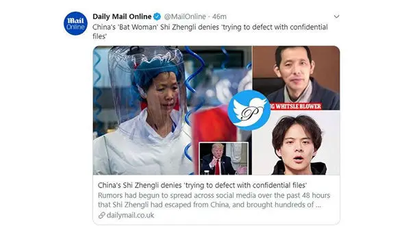 فرار «زن خفاش» همراه با پرونده‌های محرمانه کرونا  + عکس / چین
