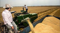 برداشت بیش از ۱۸ هزار تن گندم در لرستان