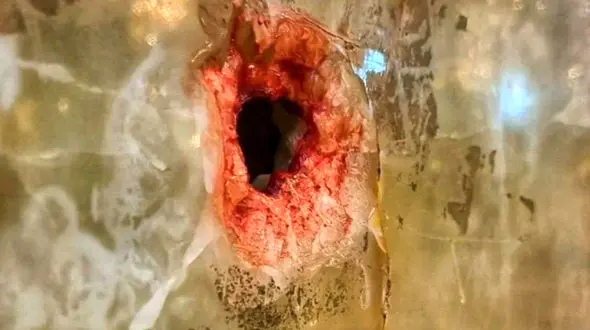 فردا ، بررسی حادثه شاهچراغ در کمیسیون امنیت ملی مجلس 