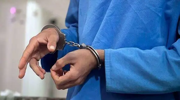 پایان جولان سارق حرفه‌ای در ستارخان