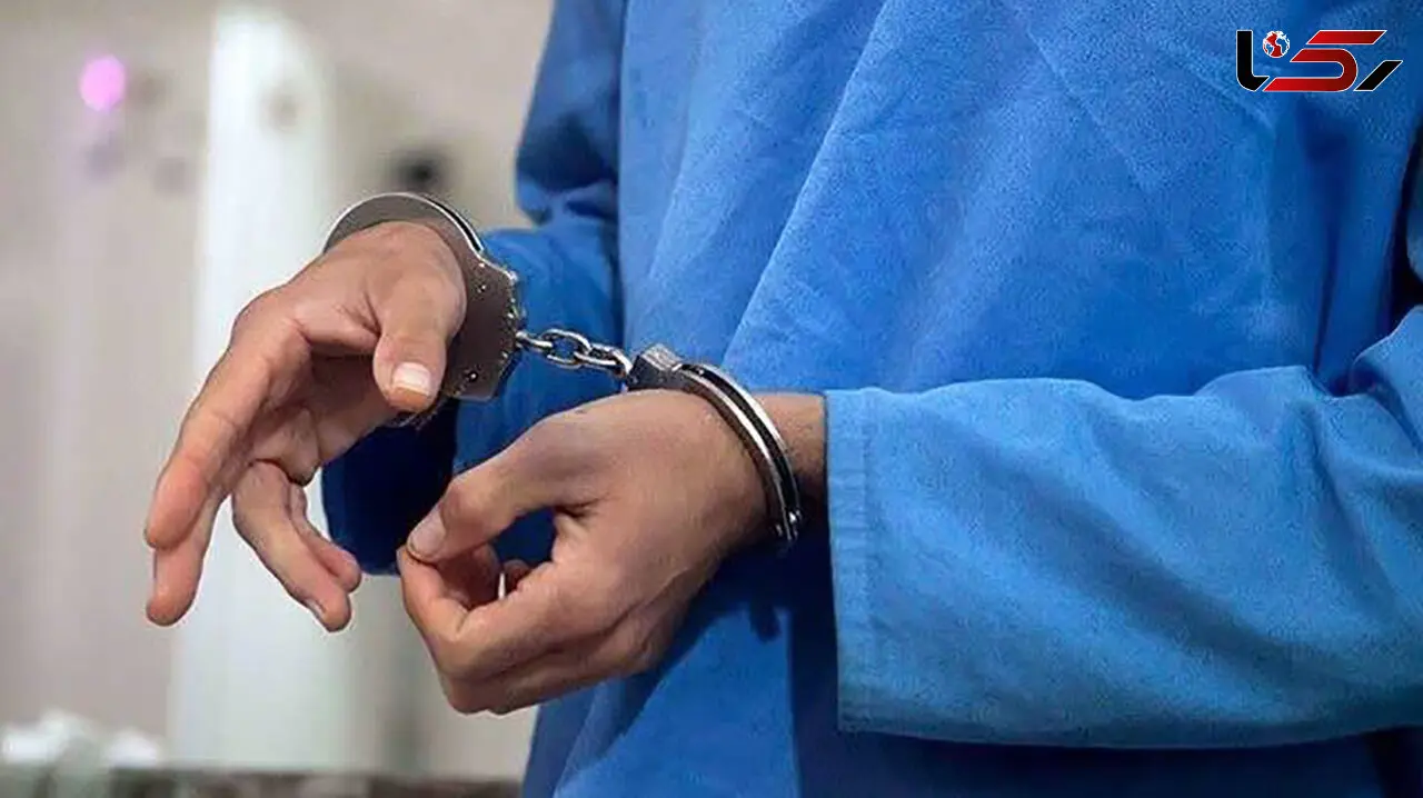 پایان جولان سارق حرفه‌ای در ستارخان