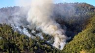 مراتع منطقه "چل جایدر" دچار آتش سوزی شد