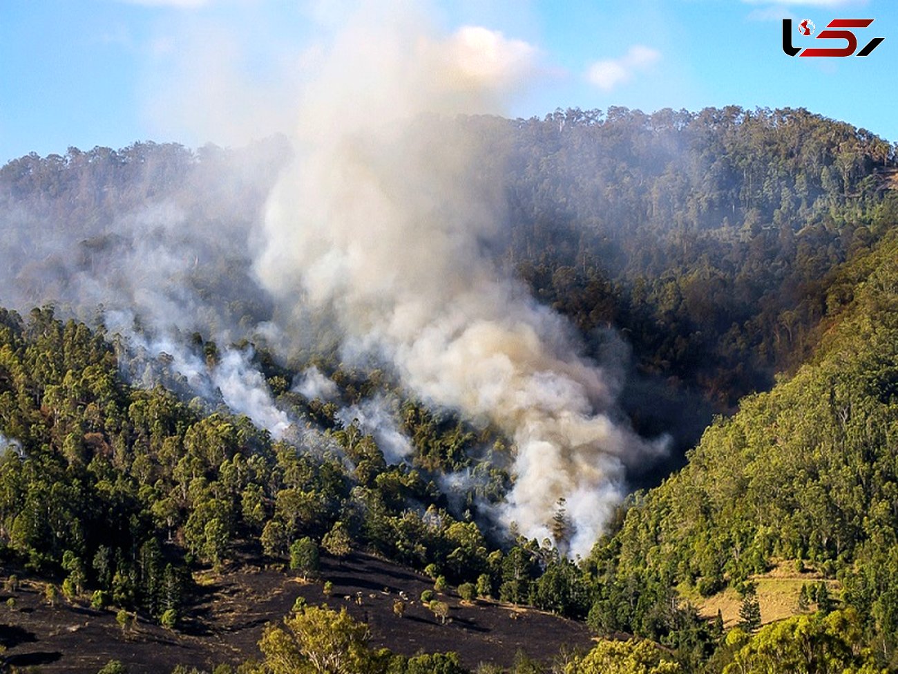 مراتع منطقه "چل جایدر" دچار آتش سوزی شد