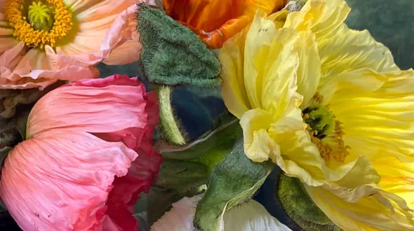 فال و طالع بینی 25 اسفند + فیلم