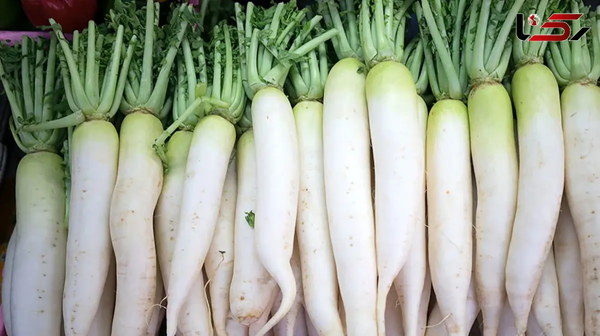 مضرات ترب سفید چیست؟ 