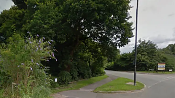 کشف جسد  رها شده زن جوان در میان بوته های جنگل 