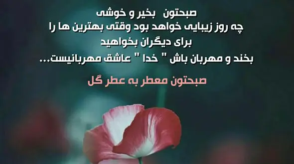 فال ابجد امروز / 15خرداد ماه + فیلم 