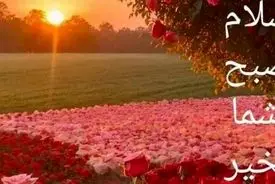 طالع بینی امروز شما عزیزان / 11 آبان 