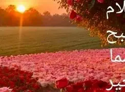 طالع بینی امروز شما عزیزان / 11 آبان 