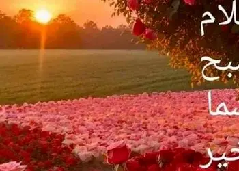 طالع بینی امروز شما عزیزان / 11 آبان 