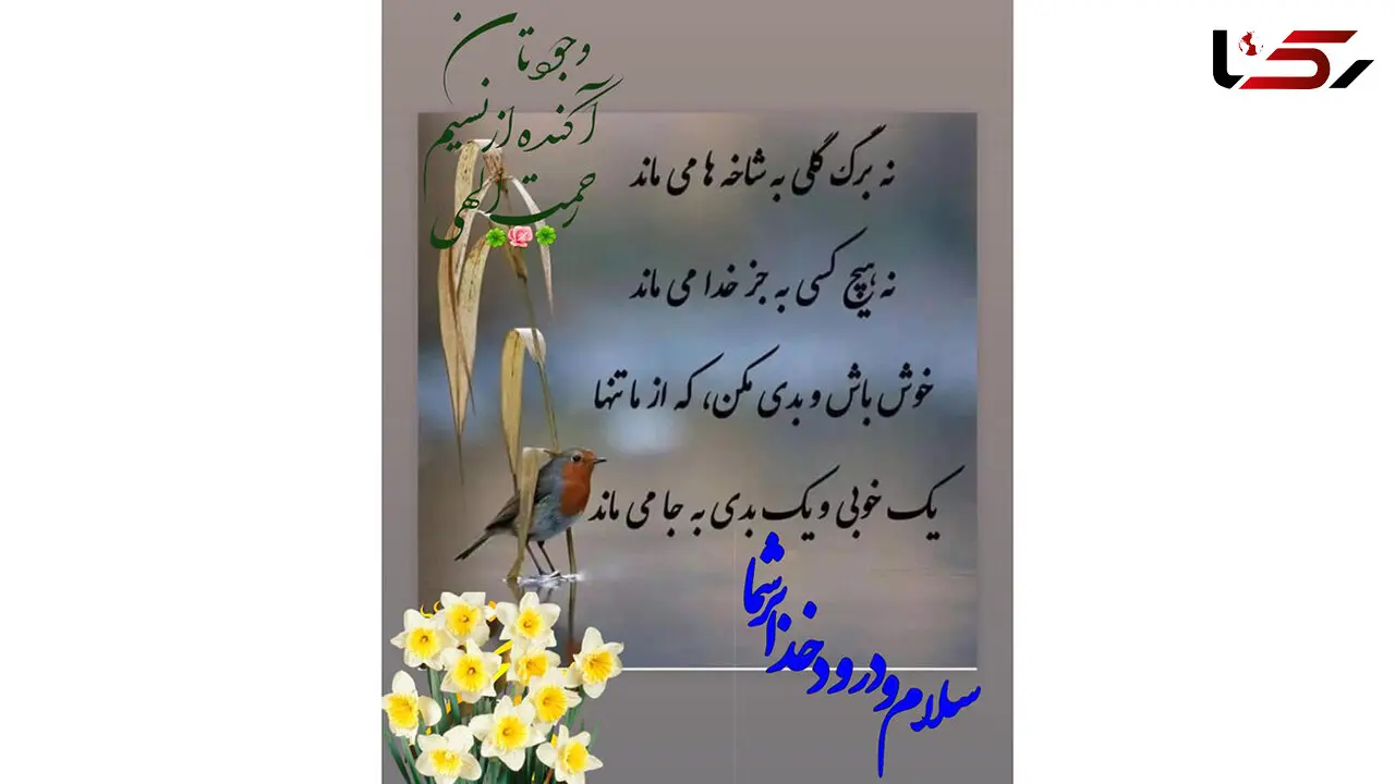 فال ابجد امروز 8 تیر + فیلم