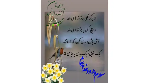 فال ابجد امروز 8 تیر + فیلم