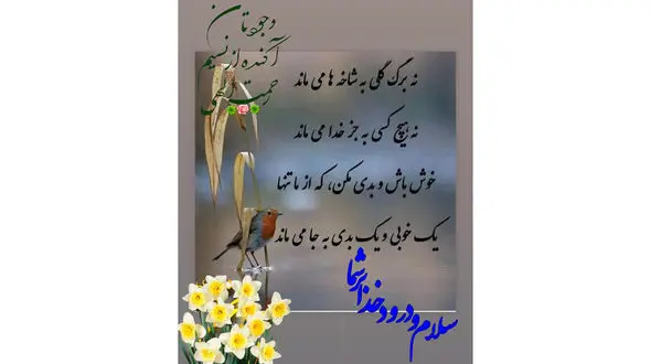 فال ابجد امروز 8 تیر + فیلم