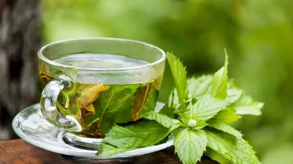 دمنوش نعنا دشمن تنبلی تخمدان