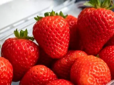 خوراکی  هایی که باعث زیبایی و شادابی پوست تان می  شوند