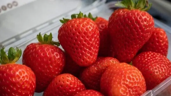 خوراکی  هایی که باعث زیبایی و شادابی پوست تان می  شوند
