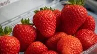 خوراکی  هایی که باعث زیبایی و شادابی پوست تان می  شوند