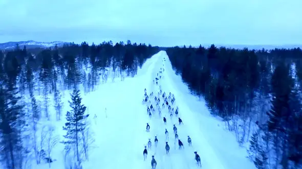 آهنگ بی کلام و آرامش بخش با تصاویر زمستان اسکاتلندی + فیلم