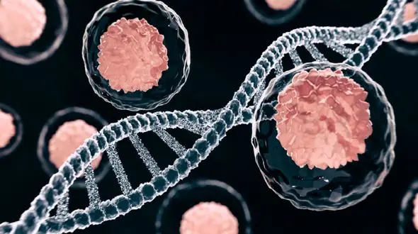 کشفی نویدبخش در مسیر مبارزه با سرطان روده و کبد