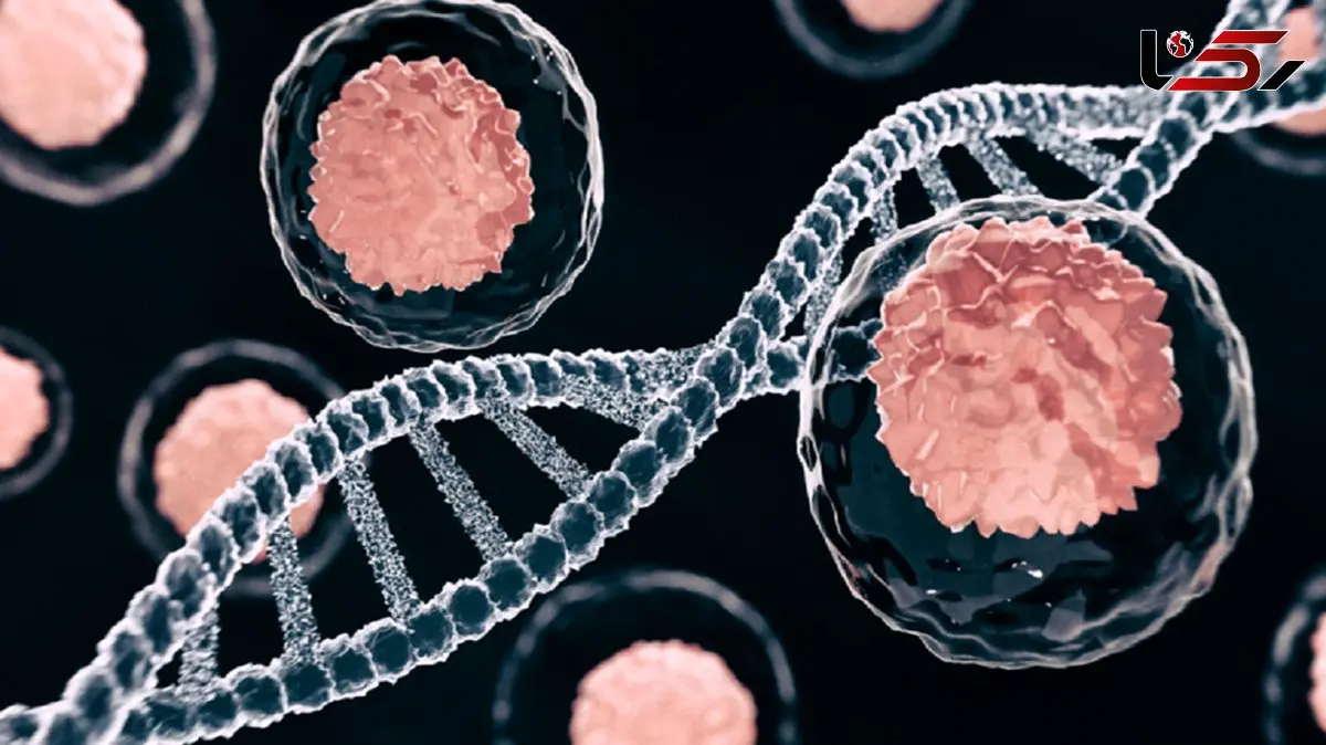 کشفی نویدبخش در مسیر مبارزه با سرطان روده و کبد