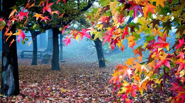 فال ابجد امروز / 14 آبان + فیلم